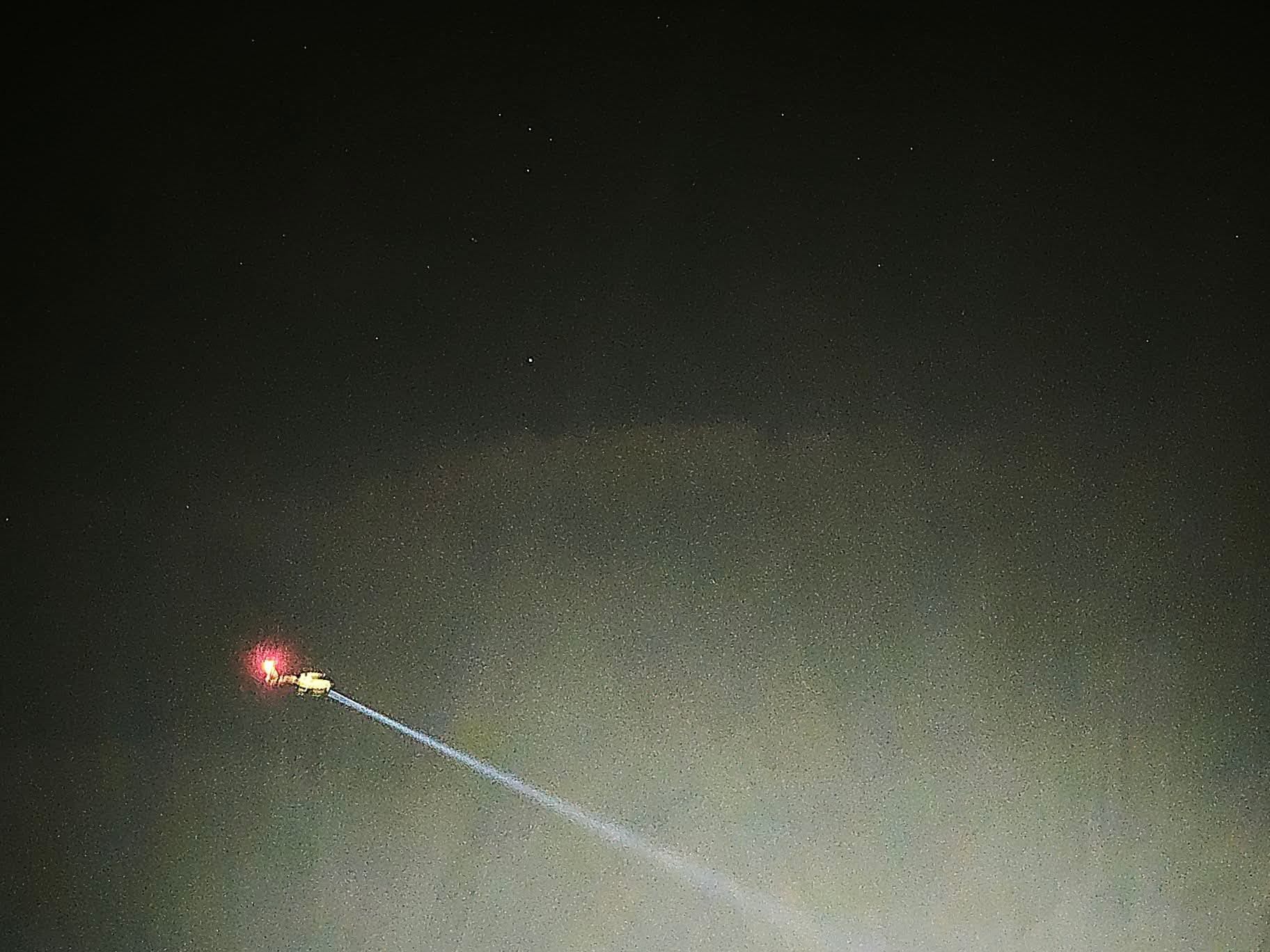 Rescate animal en Cantillana